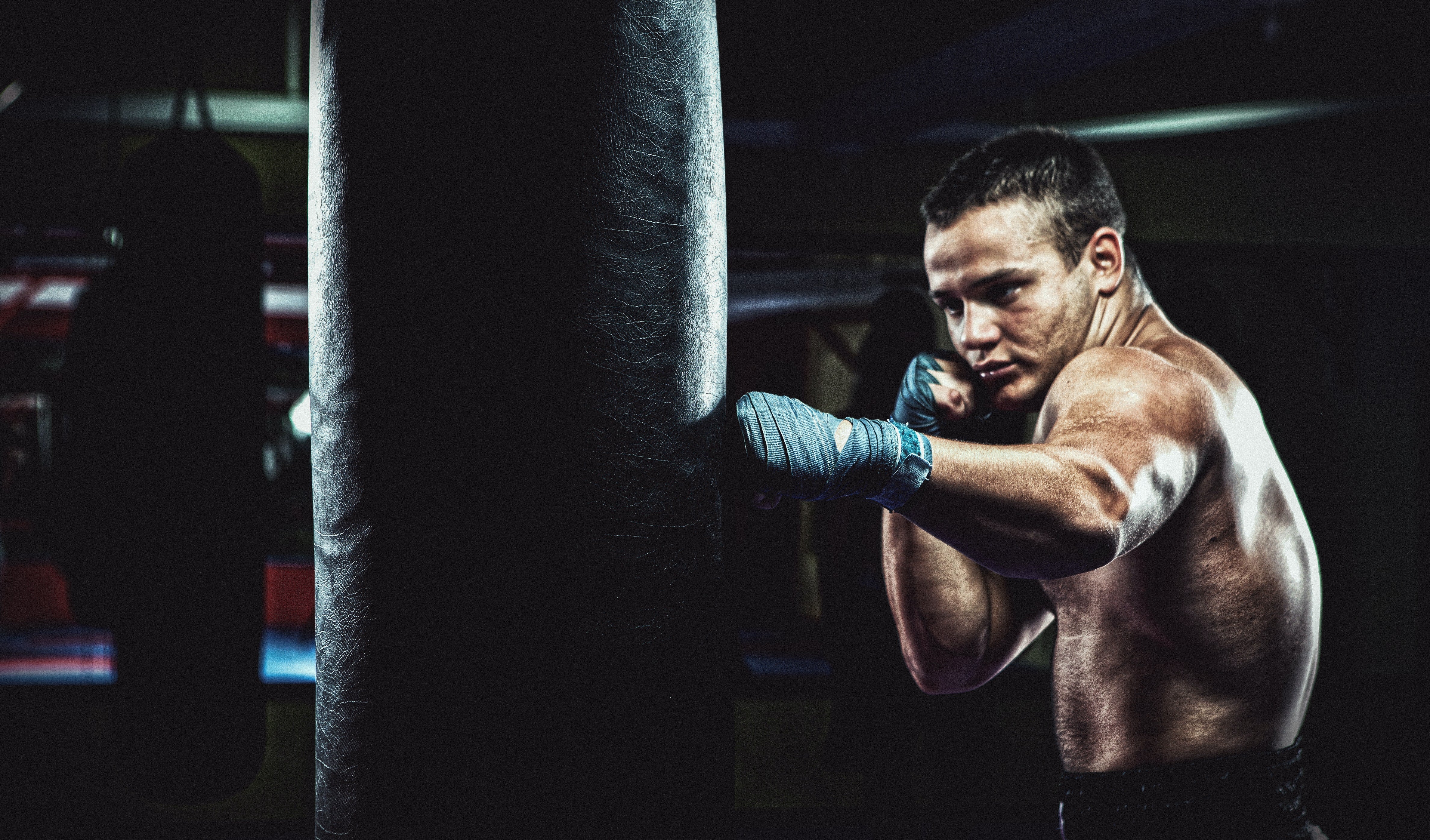 Boxing Bags | The Best Heavy Bags for Your Home Gym